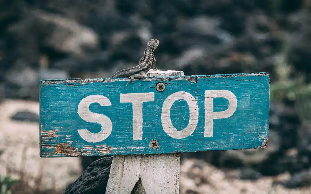 Trading Rules: Key Rules to Trading Success